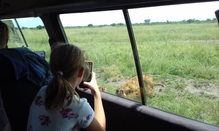 Game-drive-in-Queen-Elizabeth-National-Park