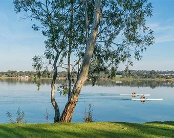 Lake Albert