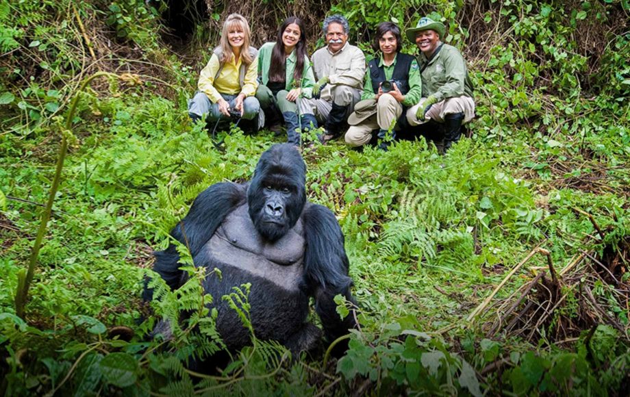 Gorilla trekking at Volcanoes National Park in Rwanda