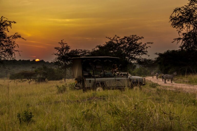 4x4 self drive Uganda Safari