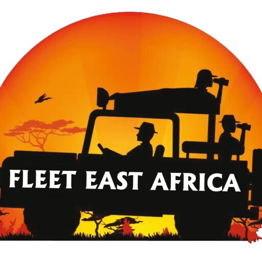 car rentals 4x4 East Africa