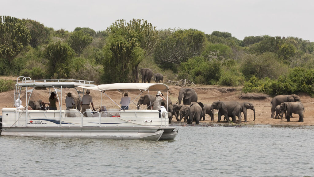 cheap/ budget Kazinga Channel boat cruise