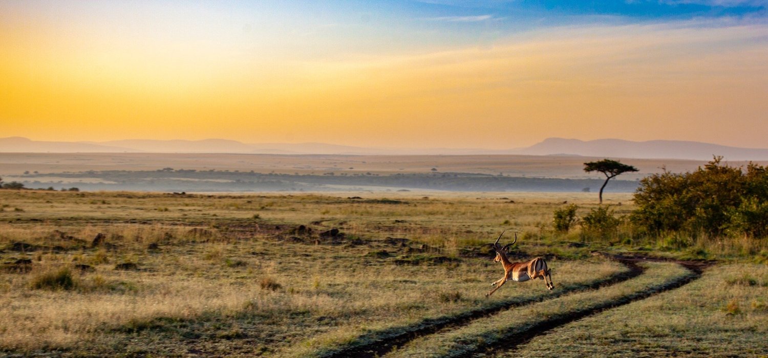 Queen Elizabeth National Park safaris Uganda -Cheap African safari tours for self drive